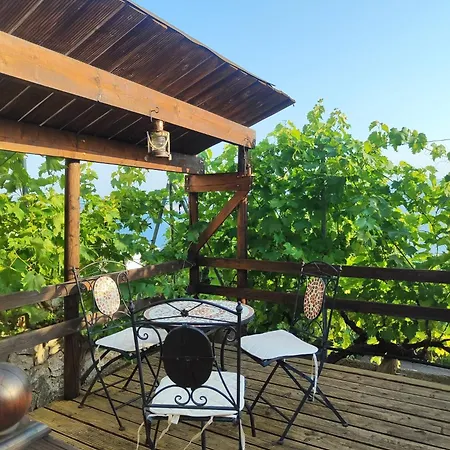 Mihael Villa *