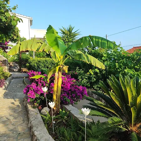 Mihael Villa Celina