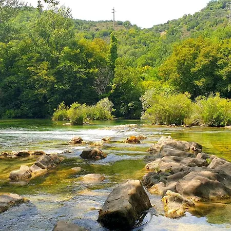 Mihael * Целина